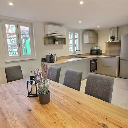 Maison Renovee Avec 3 Chambres, Terrasse Et Parking, A 17 Min De Strasbourg - Fr-1-722-5 Geispolsheim